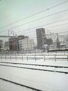 名古屋の雪・・・