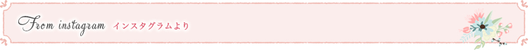 インスタグラム
