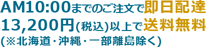 AM10時までのご注文で即日配送