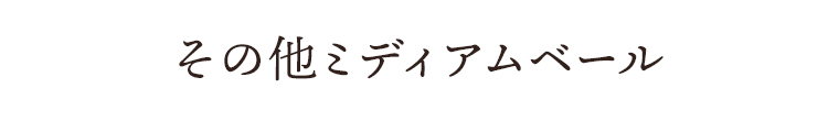 その他ミディアムベール