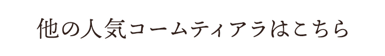 他の人気コームティアラはこちら